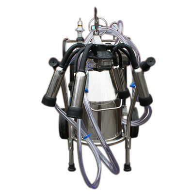 I cellulari 12 intimoriscono/potere portatile 1.1KW del pulsometro mungitrice di ora