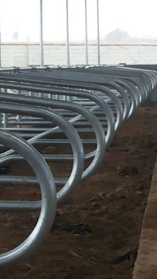Corrosione della stalla libera laterale della mucca due di acciaio inossidabile anti