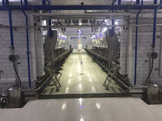 Macchina automatica elettronica della mucca della sala di mungitura della spina di pesce di metrologia
