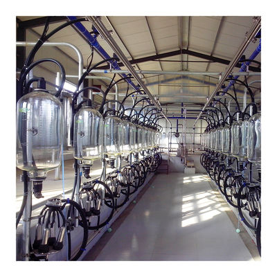 24-100 macchina agricola di azienda lattiera efficiente della sala di mungitura della latteria della mucca del punto alta