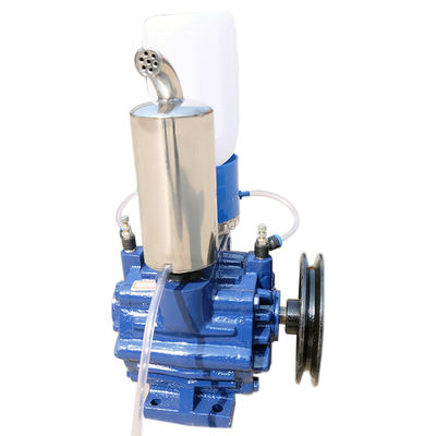 tipo rotatorio di 1400Rpm 1.1Kw Vane Vacuum Pump Compact