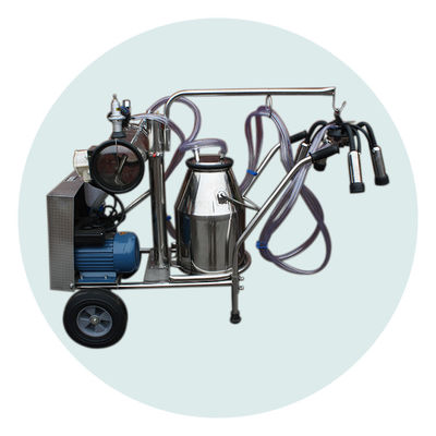 Materiale della mungitrice SS304 della mucca di pressione negativa 170L/min