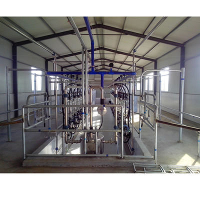 Sala di mungitura della spina di pesce degli ss
