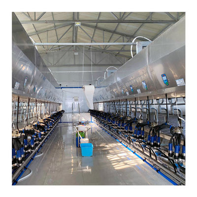 Rilascio rapido parallelo automatico della sala di mungitura della spina di pesce della mucca