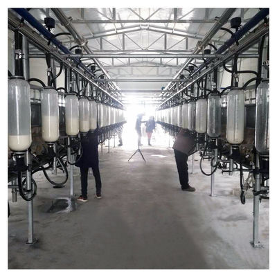 sala di mungitura della spina di pesce di 380v 7.5kw per l'azienda agricola della capra