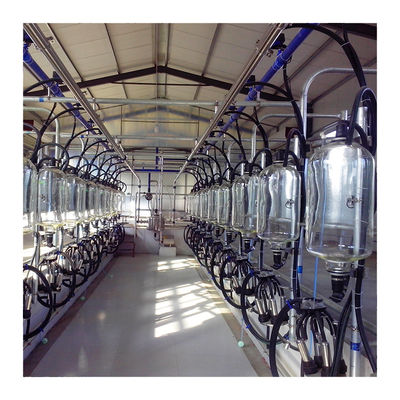 tipo sala di mungitura automatica a basso rumore della spina di pesce della sala di mungitura dell'unità di 5T/h 20