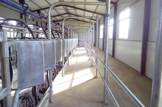 tipo sala di mungitura automatica a basso rumore della spina di pesce della sala di mungitura dell'unità di 5T/h 20