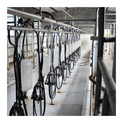 Attrezzatura elettrica a basso rumore della sala di mungitura della spina di pesce 1.5KW