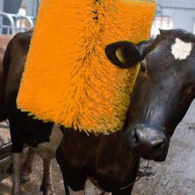 Il massaggio della mucca dell'attrezzatura dell'allevamento di pollame spazzola la rotazione intimorisce la rasatura spazzola