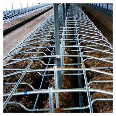 Prova libera della ruggine del granaio della stalla di altezza 95cm per l'azienda lattiera