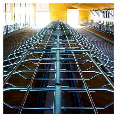 granaio libero della stalla di 200cm galvanizzato rotondo la metropolitana ed il tubo di Stell per la mucca