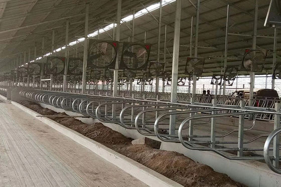 Tipo stalla libera del bestiame 9JY della stalla della prova acida per bestiame