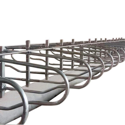 Il tipo testa a testa 1.30m/cow recinta Cattle Free Stall di misura adattabile