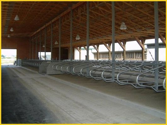 Il tipo testa a testa 1.30m/cow recinta Cattle Free Stall di misura adattabile