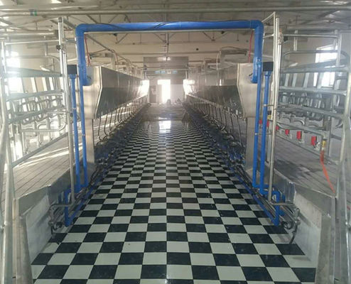 11kw salone parallelo di vuoto 3800L che munge i sistemi 128 mucche alle ore