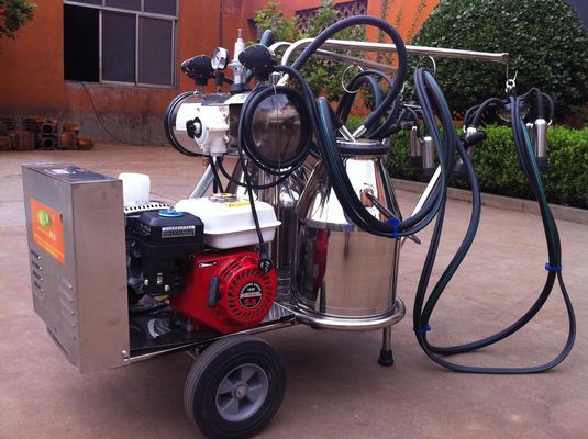 Mungitrice del cellulare portatile del commestibile ss con il motore a benzina