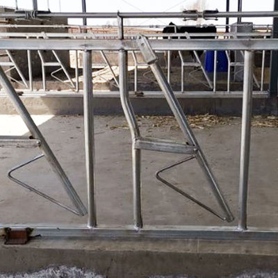 Operazione facile 18kg di altezza 110cm della serratura capa durevole della mucca