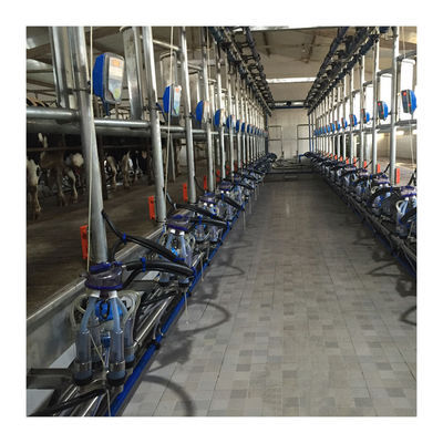 Macchina di aspirazione del latte di vacca della sala di mungitura della spina di pesce di alta efficienza 4KW