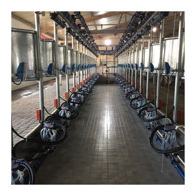 Metro elettrico automatico parallelo del latte della sala di mungitura della mucca del rilascio rapido