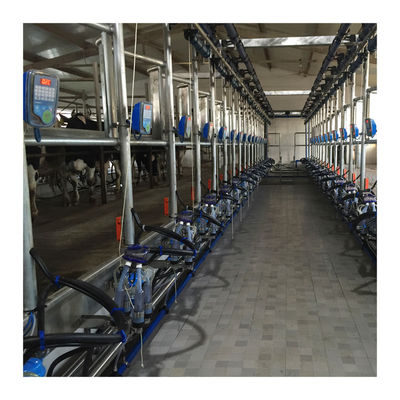 Macchina di aspirazione del latte di vacca della sala di mungitura della spina di pesce di alta efficienza 4KW