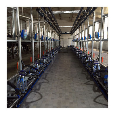 Macchina di aspirazione del latte di vacca della sala di mungitura della spina di pesce di alta efficienza 4KW