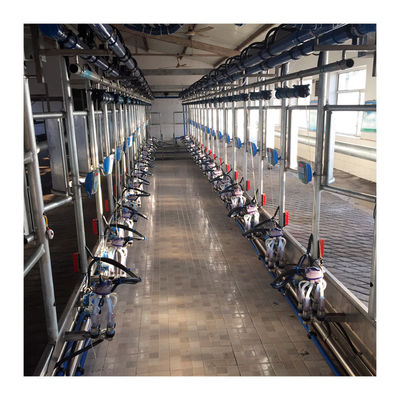 Macchina di aspirazione del latte di vacca della sala di mungitura della spina di pesce di alta efficienza 4KW