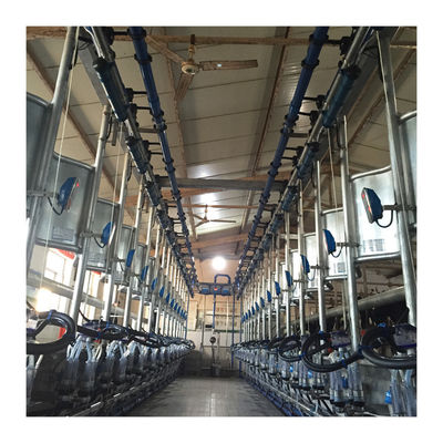 Macchina di aspirazione del latte di vacca della sala di mungitura della spina di pesce di alta efficienza 4KW