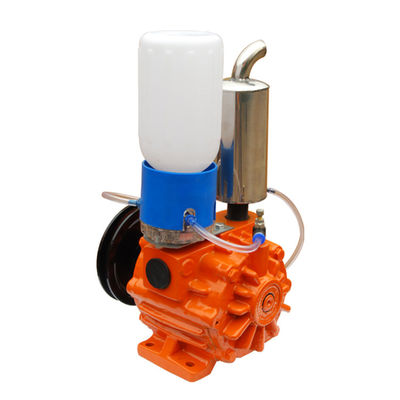 Vuoto rotatorio di Vane Type Vacuum Pump 220V 50Hz 1Phase delle doppie fasi alto