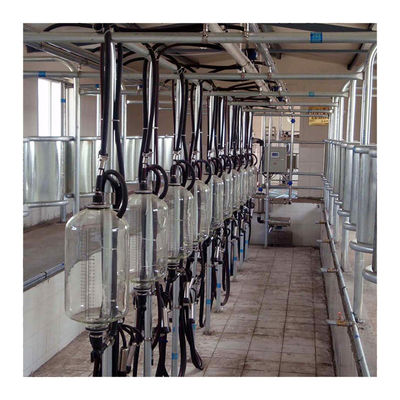 Sala di mungitura della spina di pesce dell'azienda lattiera 4KW con il vetro del commestibile