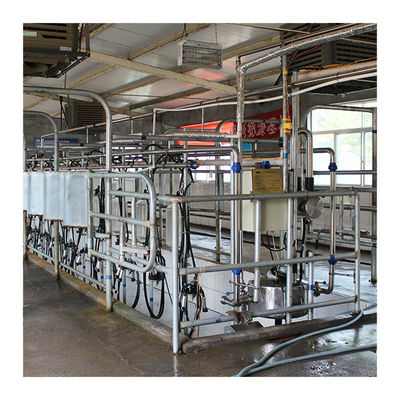 Sala di mungitura della spina di pesce dell'azienda lattiera 4KW con il vetro del commestibile