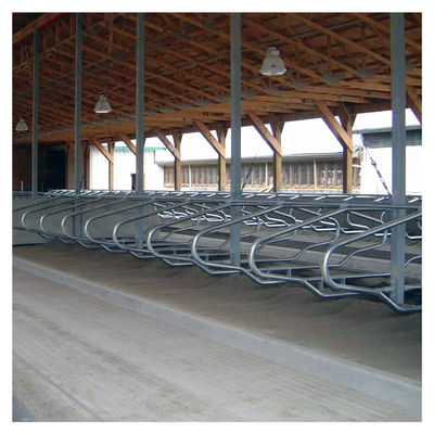 Cicli liberi liberi galvanizzati caldi della stalla del granaio ISO9001 della stalla
