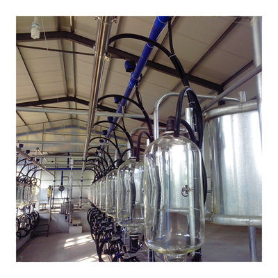 24-100 macchina agricola di azienda lattiera efficiente della sala di mungitura della latteria della mucca del punto alta