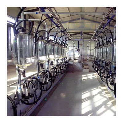 24-100 macchina agricola di azienda lattiera efficiente della sala di mungitura della latteria della mucca del punto alta