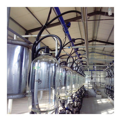 24-100 macchina agricola di azienda lattiera efficiente della sala di mungitura della latteria della mucca del punto alta