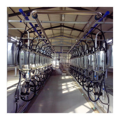 24-100 macchina agricola di azienda lattiera efficiente della sala di mungitura della latteria della mucca del punto alta