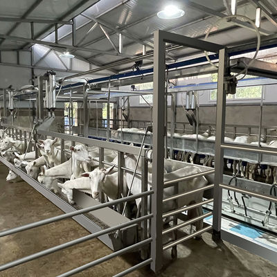 Sala di mungitura dell'alta di produttività della latteria delle aziende agricole della sala di mungitura capra flessibile dell'attrezzatura