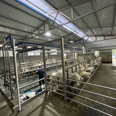 Attrezzatura di stato della sala di mungitura della capra delle pecore del contatore elettrico di Digital nuova