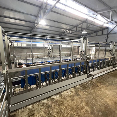 Attrezzatura di stato della sala di mungitura della capra delle pecore del contatore elettrico di Digital nuova