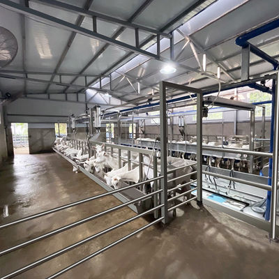 Attrezzatura di stato della sala di mungitura della capra delle pecore del contatore elettrico di Digital nuova