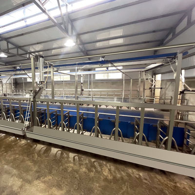 Depressione di alimentazione della sala di mungitura della spina di pesce della capra SUS304 tipo rapido conduttura dell'uscita