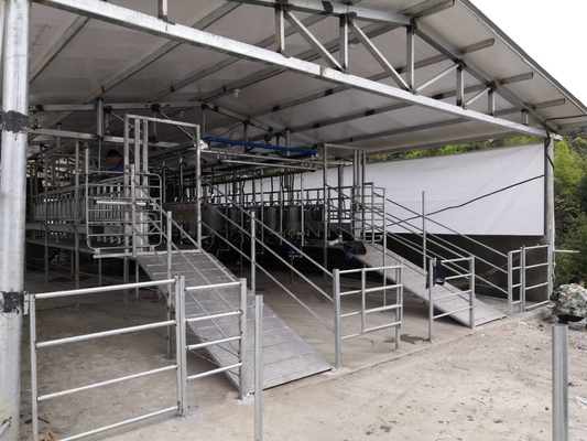Sala di mungitura della spina di pesce delle pecore dell'attrezzatura di azienda lattiera con la bottiglia di misurazione di vetro