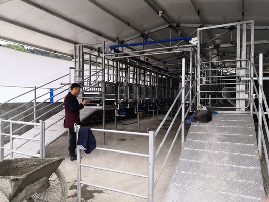 Sala di mungitura della capra SS304 che munge l'attrezzatura della capra della latteria dei sistemi